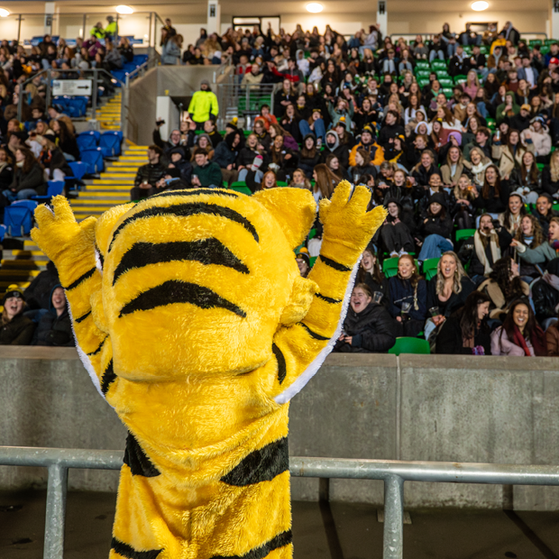 Find out how to get involved in Volunteering at UofG